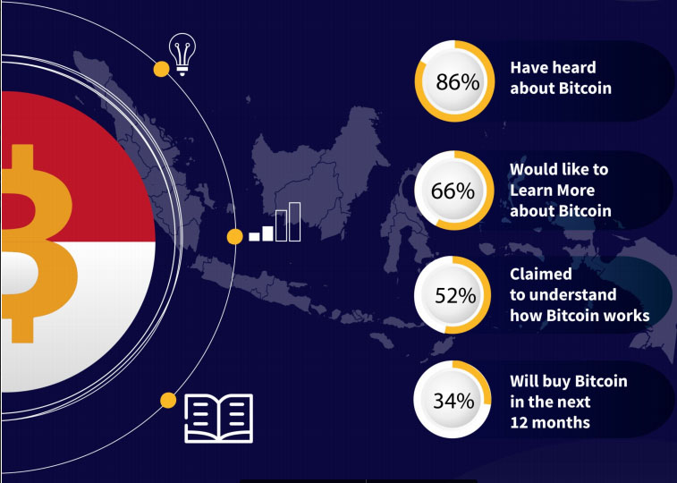  survey bitcoin Indonesia