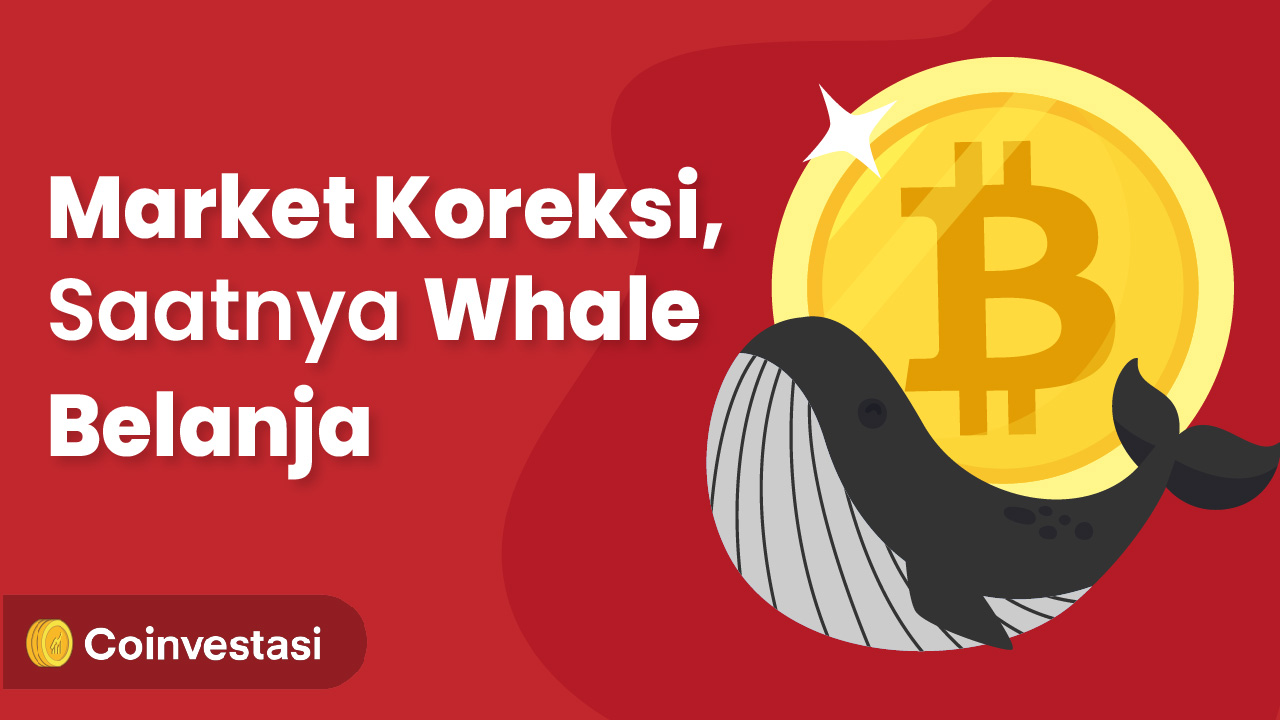 Market Koreksi, Whale Beraksi Beli 100 Bitcoin!