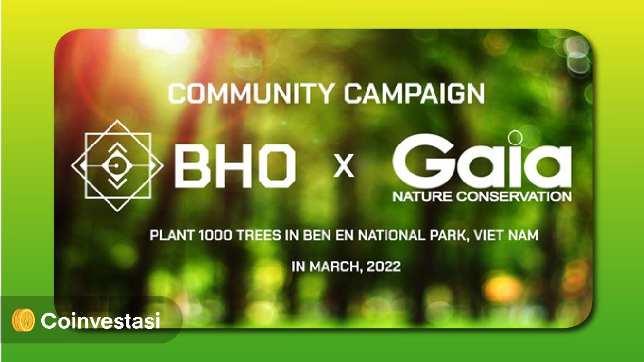 Bholdus, Proyek Asal Vietnam yang Ramah Lingkungan