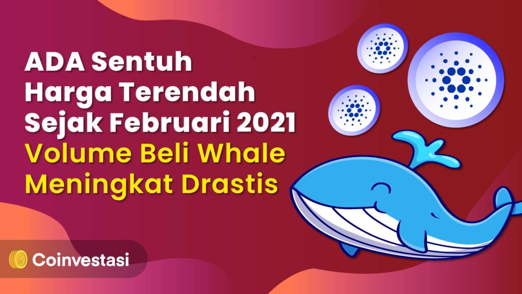 ADA Sentuh Harga Terendah Sejak Februari 2021, Volume Beli Whale Meningkat Drastis