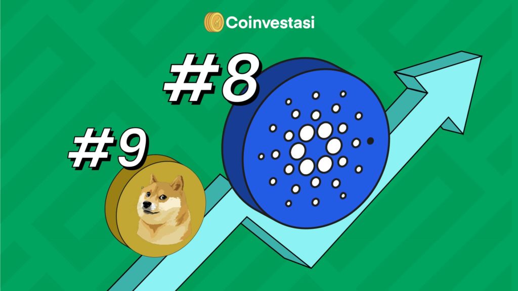 Cardano salip Doge