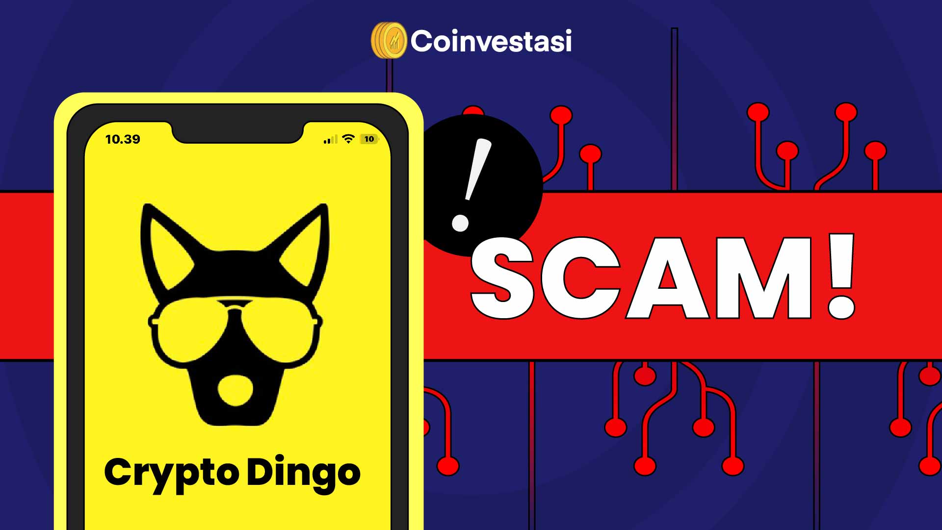 Crypto Dingo